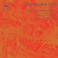 Negative Feedback Resistor CD by Destruction Unit album artwork