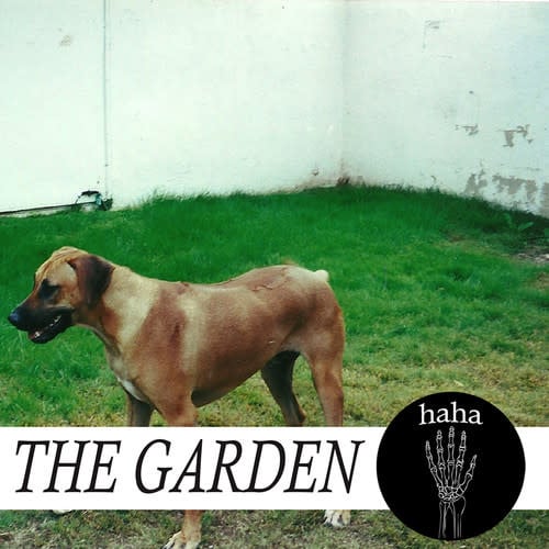 Haha CD by The Garden album artwork