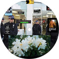 Earthly Versions 12" by Jam City album artwork