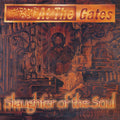Slaughter of the Soul LP by At The Gates album artwork