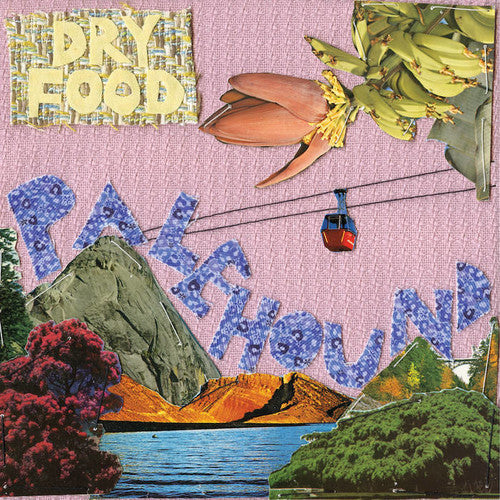 Dry Food LP by Palehound album artwork