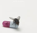 I'm with You 2LP by Red Hot Chili Peppers album artwork