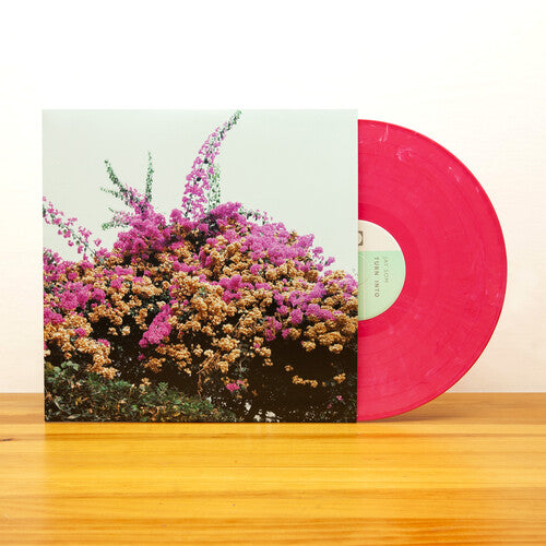 Turn Into LP by Jay Som album artwork