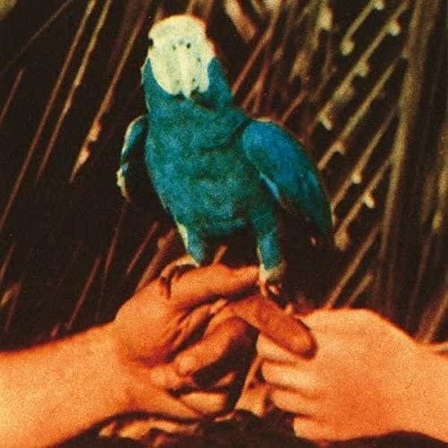 Are you Serious LP by Andrew Bird album artwork