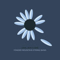 Love. Ain't Love CD by Yonder Mountain String Band album artwork