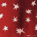 As You Please CD by Citizen album artwork