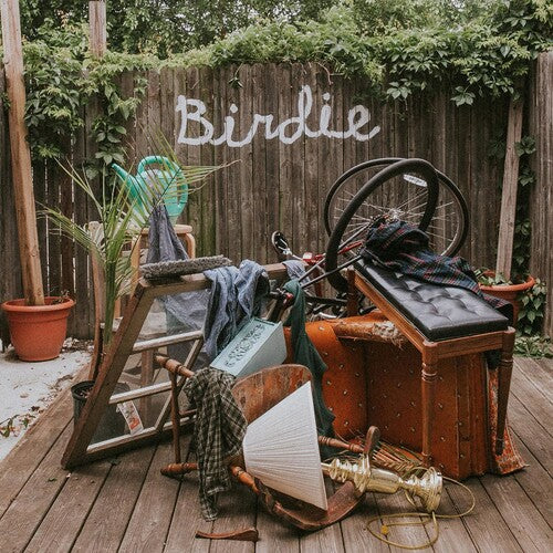 Birdie CD by Slaughter Beach, Dog album artwork