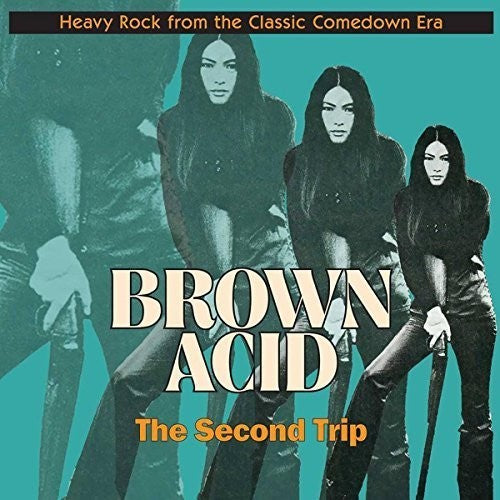 Brown Acid: The Second Trip LP by Various album artwork