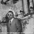 You Think You Really Know Me LP by Gary Wilson album artwork