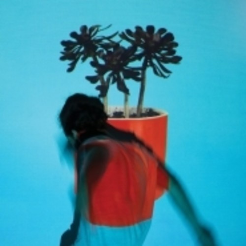 Sunlit Youth LP by Local Natives album artwork