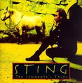 Summoner's Tales LP by Sting album artwork