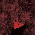 Unborn Capitalist from Limbo LP by Cory (Wand) Hanson album artwork