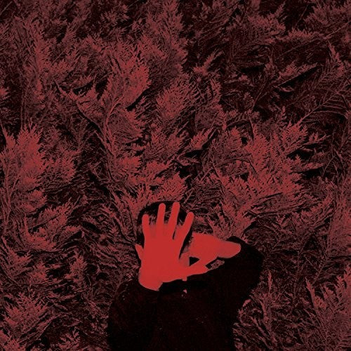 Unborn Capitalist from Limbo LP by Cory (Wand) Hanson album artwork