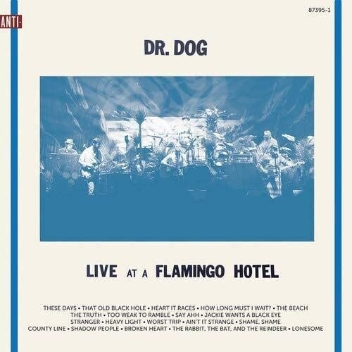Live at a Flamingo Hotel 2LP by Dr. Dog album artwork