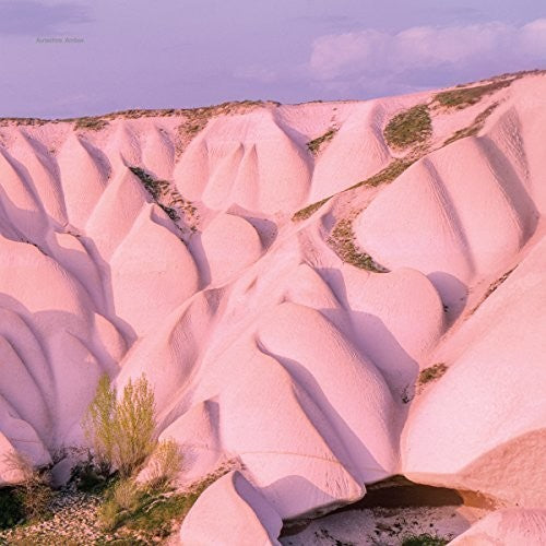 Amber LP by Autechre album artwork
