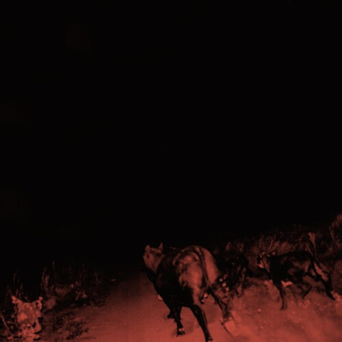 Shadow On Everything LP by Bambara album artwork