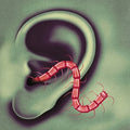 An Odd Entrances LP by Thee Oh Sees album artwork