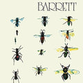 Barrett CD by Syd Barrett album artwork