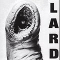 Power of Lard LP by Lard album artwork