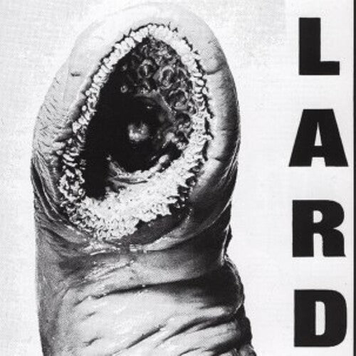 Power of Lard LP by Lard album artwork