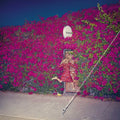 Pleasure CD by Feist album artwork