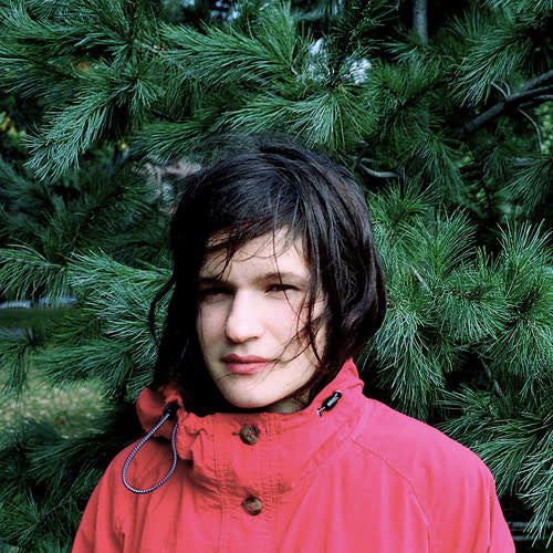 Hours Were the Birds LP by Adrianne Lenker album artwork