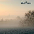 Self-Titled by The Wilde Flowers album artwork