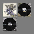 Ribbons LP by Bibio album artwork