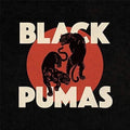 Self-Titled by Black Pumas album artwork