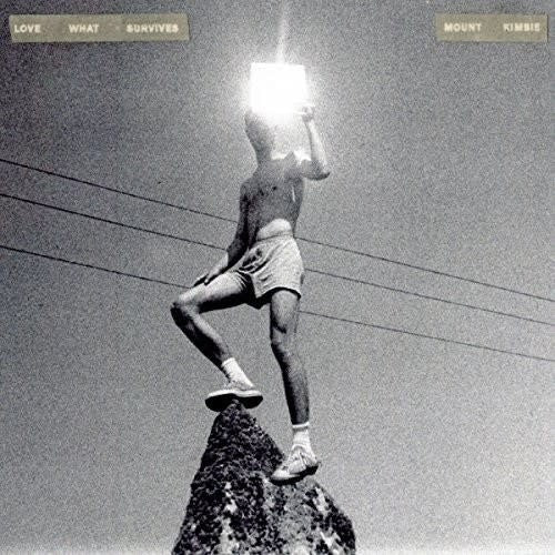 Love what Survives LP by Mount Kimbie album artwork