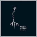 My Propeller 7" by Arctic Monkeys album artwork