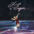 House of Sugar LP by Alex G album artwork