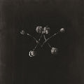 Nowhere Now LP by Waterstrider album artwork