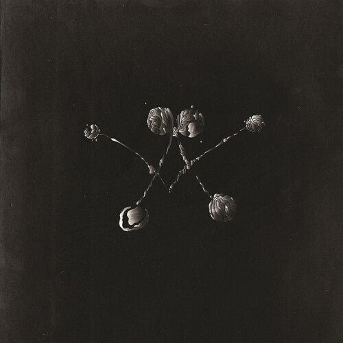 Nowhere Now LP by Waterstrider album artwork