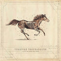 A Long Way from Your Heart 2LP by Turnpike Troubadours album artwork