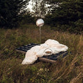 Warm Glow LP by Hippo Campus album artwork
