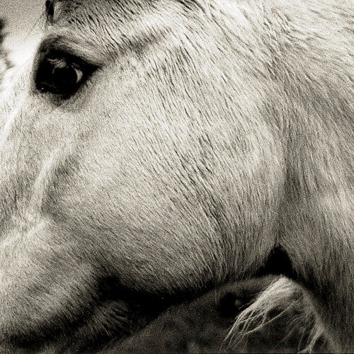 Self-Titled by Bonny Light Horseman album artwork