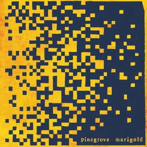 Marigold LP by Pinegrove album artwork