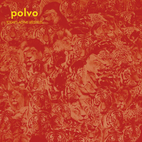 Today's Active Lifestyles LP by Polvo album artwork