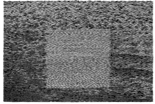 Grid of Points LP by Grouper album artwork