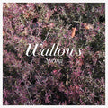 Spring LP by Wallows album artwork