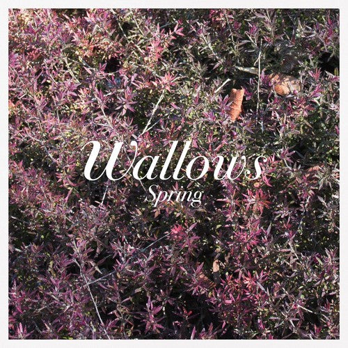 Spring LP by Wallows album artwork
