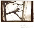 Radio Amor CD by Tim Hecker album artwork