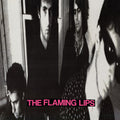 In a Priest Driven Ambulance LP by The Flaming Lips album artwork