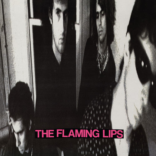 In a Priest Driven Ambulance LP by The Flaming Lips album artwork