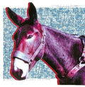 Ultimate Success Today LP by Protomartyr album artwork