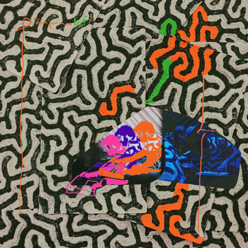 Tangerine Reef CD by Animal Collective album artwork