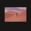Species CD by Bing & Ruth album artwork