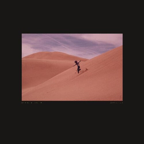 Species CD by Bing & Ruth album artwork