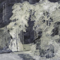 The Language of Limbs CD by Constellatia album artwork